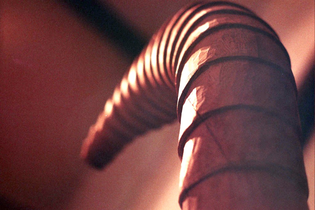 foto©Luca Stocchero